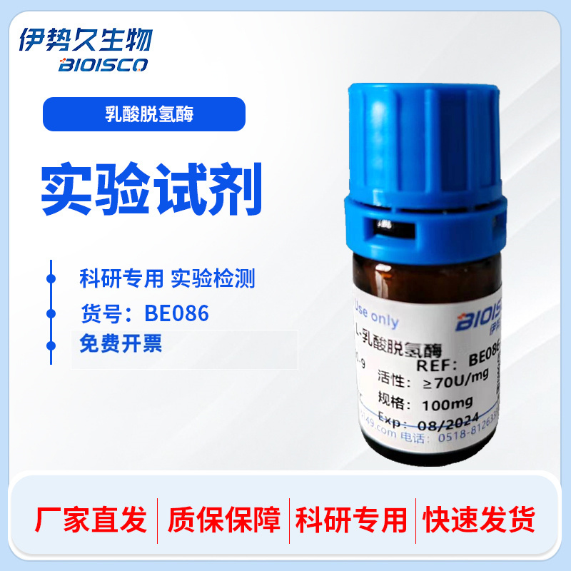 L-乳酸脫氫酶,L-Lactate Dehydrogenase