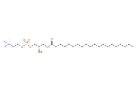 1-花生四酰-2-羥基-sn-甘油-3-磷酸膽堿,1-arachidoyl-2-hydroxy-sn-glycero-3-phosphocholine