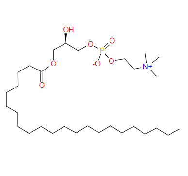 1-己烯基-2-羥基-sn-甘油-3-磷酸膽堿,1-BEHENOYL-2-HYDROXY-SN-GLYCERO-3-PHOSPHOCHOLINE