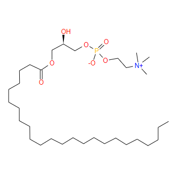 1-木質(zhì)氰基-2-羥基-sn-甘油-3-磷酸膽堿,1-lignoceroyl-2-hydroxy-sn-glycero-3-phosphocholine