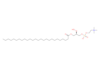 1-十六烷?；?2-羥基-sn-甘油-3-磷酸膽堿,1-hexacosanoyl-2-hydroxy-sn-glycero-3-phosphocholine