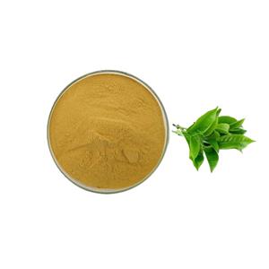 茶多酚,Tea polyphenol