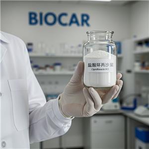 鹽酸環(huán)丙沙星,Ciprofloxacin HCl