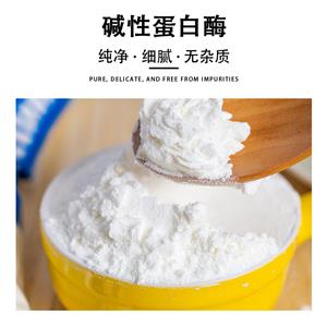 堿性蛋白酶,alkaline protease