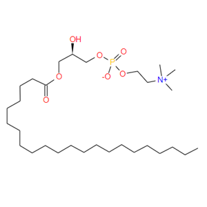 1-己烯基-2-羥基-sn-甘油-3-磷酸膽堿