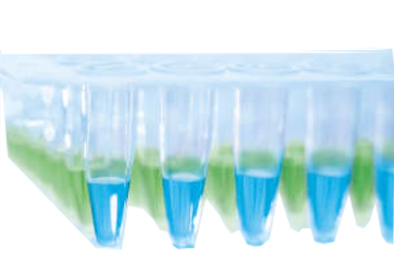 凱杰高靈敏度SYBR Green熒光定量PCR試劑盒,QuantiNova SYBR Green PCR Kit (500)