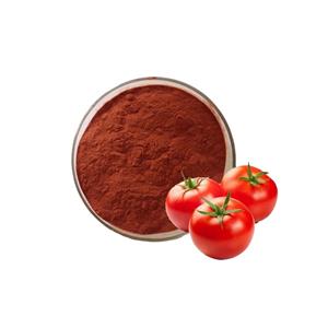 番茄粉,Tomato powder