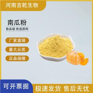 南瓜粉,Pumpkin powder