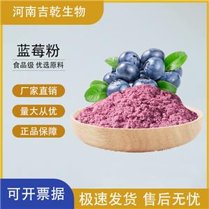 藍莓粉,Blueberry powder