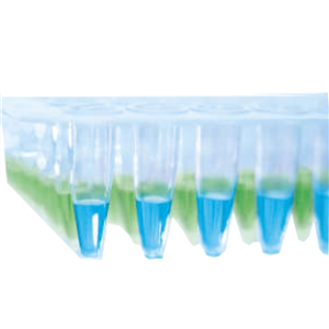 凱杰高靈敏度SYBR Green熒光定量PCR試劑盒,QuantiNova SYBR Green PCR Kit (500)