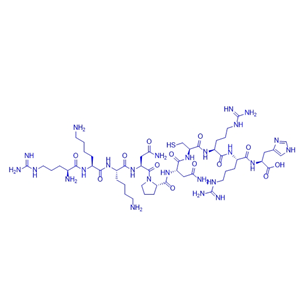 穿透肝素结合肽/1629625-47-3/BMP-4