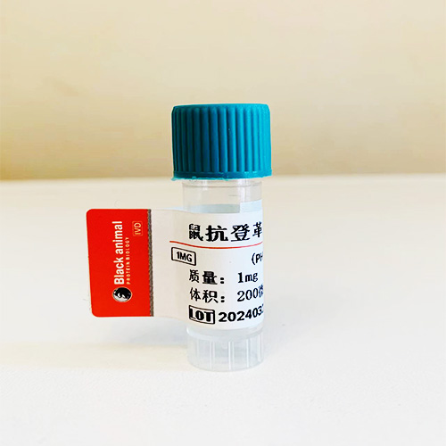 登革熱病毒抗體；鼠抗登革熱病毒NS1單克隆抗體,Mouse anti-Dengue Virus (DENV-NS1)monoclonal antibody