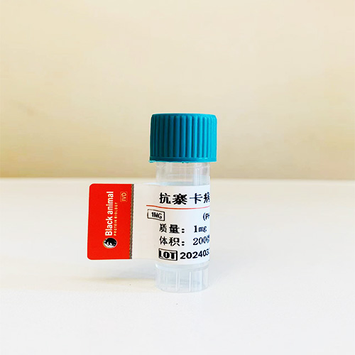 鼠抗寨卡病毒NS1蛋白單克隆抗體；寨卡病毒NS1蛋白,Mouse anti-Zika Virus NS1 Protein monoclonal antibody