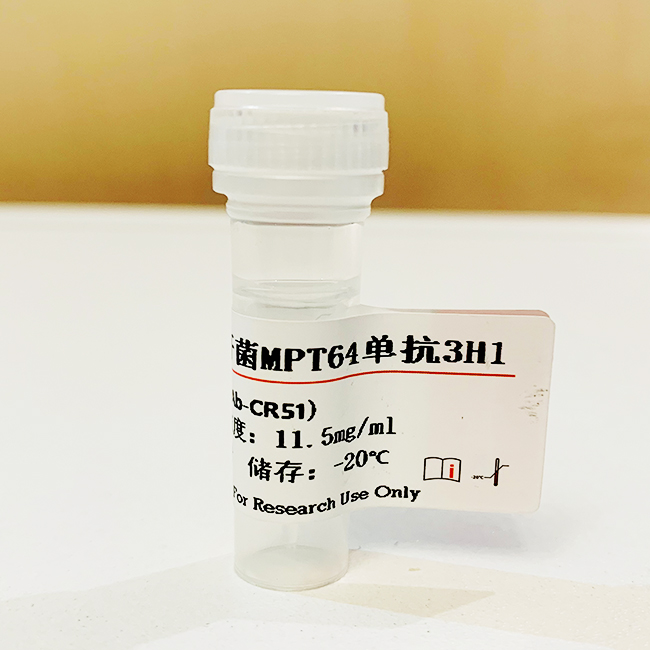 結(jié)核分枝桿菌MPT64單克隆抗體；結(jié)核分支桿菌抗體,mycobacterium tuberculosis MTB