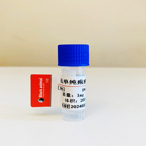 皰疹病毒抗體；抗單純皰疹病毒單克隆抗體,Against herpes simplex virus monoclonal antibodies