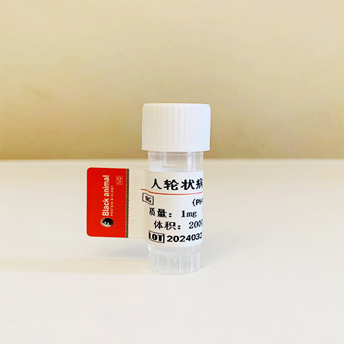 人輪狀病毒單克隆抗體（RV）；人輪狀病毒抗體,Against rotavirus monoclonal antibodies