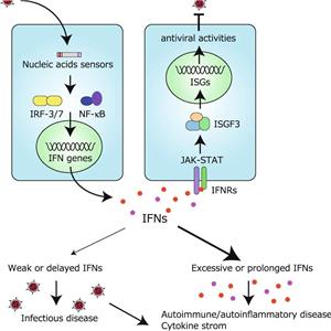 辰輝創(chuàng)聚生物Nebulabio 提供RNA Viruses Triggered信號通路相關蛋白