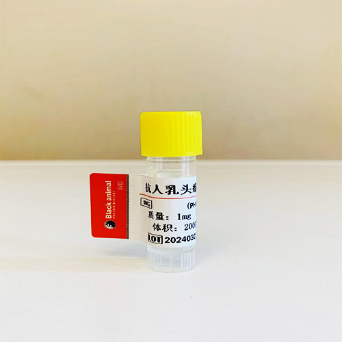 人乳頭瘤抗體；乳頭瘤病毒抗體,Human papilloma virus monoclonal antibody