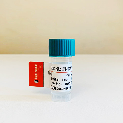 念珠菌抗體；抗念珠菌單克隆抗體,Against candida monoclonal antibodies