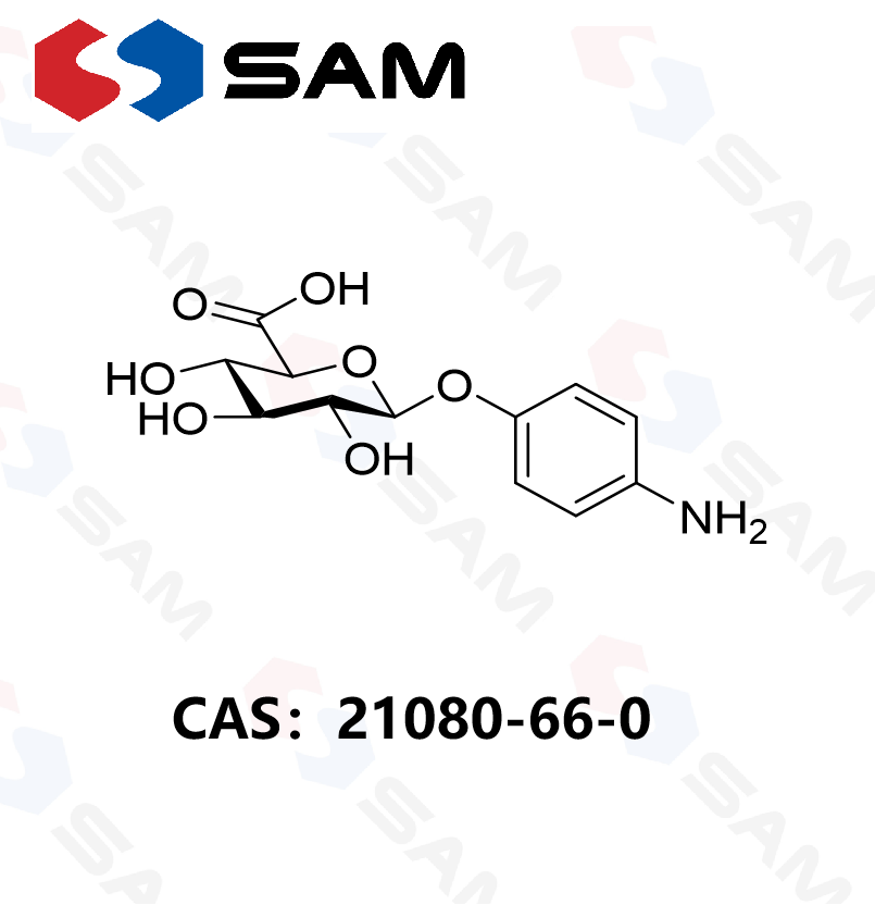 4-氨基苯基 β-D-葡萄糖醛酸,4-Aminophenyl β-D-Glucuronic Acid