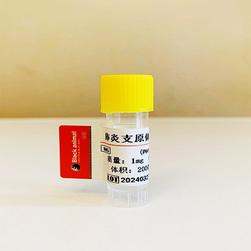 肺炎衣原體抗原；肺炎衣原體重組抗原,Recombinant Chlamydia Pneumonia antigen