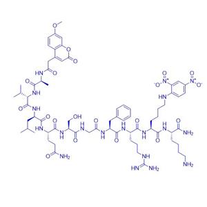 MCA-AVLQSGFR-Lys(Dnp)-Lys-NH2/932391-88-3/FRET底物多肽