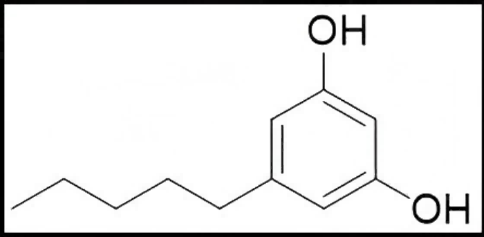 3,5-二羥基戊苯 橄欖醇,Olivetol