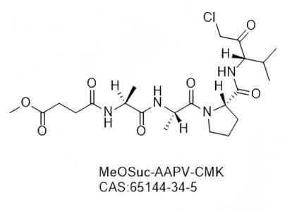 MeOSuc-AAPV-CMK?,MeOSuc-AAPV-CMK?