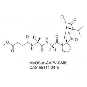 MeOSuc-AAPV-CMK?