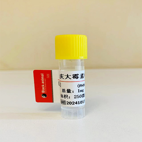 慶大霉素抗體；慶大霉素單克隆抗體（60G11細(xì)胞株）,Gentamicin GM