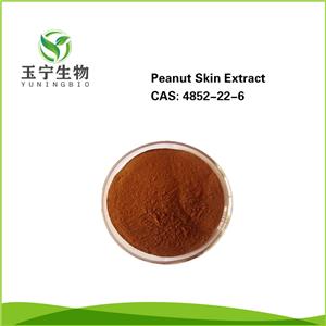 花生衣提取物,Peanut Skin Extract