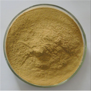 蘇鐵雙黃酮,8-[3-(4-Oxo-5,7-dihydroxy-4H-1-benzopyran-2-yl)-6-hydroxyphenyl]-2-(4-hydroxyphenyl)-5-hydroxy-7-methoxy-4H-1-benzopyran-4-one