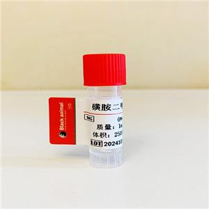 磺胺二甲基嘧啶抗体；磺胺二甲基嘧啶单克隆抗体（63C11细胞株）；Sulfamethazine（SM2）抗体；磺胺二甲基嘧啶抗原