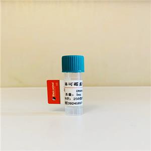 林可霉素抗體，林可霉素單克隆抗體（2G4細(xì)胞株）；Lincomycin（LM）抗體