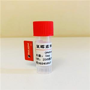 氯霉素抗体；氯霉素单克隆抗体（23E10细胞株）；Chloromycetin（CAP）抗体；Chloramphenicol（TAP ）抗体