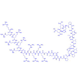 11R-VIVIT/592517-80-1/抑制劑多肽11R-VIVIT；Cell permeable NFAT inhibitor