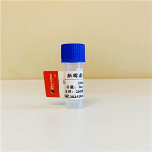 新霉素抗體；新霉素單克隆抗體（98F2細(xì)胞株）；Neomycin（NM）抗體；新霉素抗原