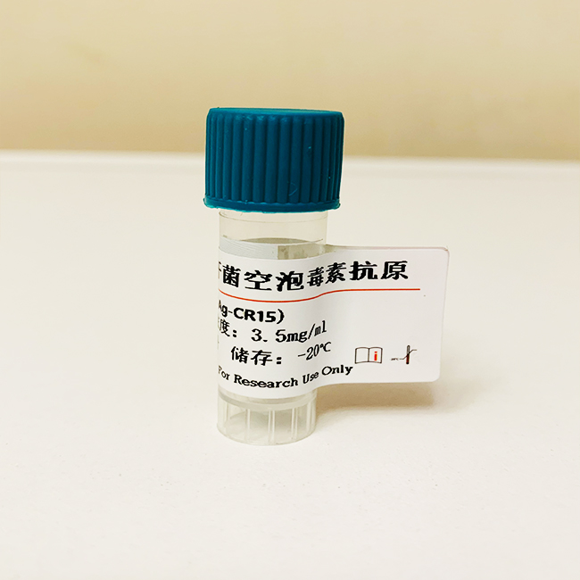 幽門螺桿菌空泡毒素抗原；幽門螺桿菌空泡細(xì)胞毒素(VacA),Helicobacter HP