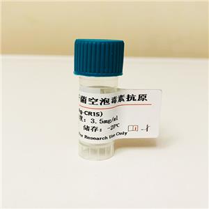 幽門螺桿菌空泡毒素抗原；幽門螺桿菌空泡細(xì)胞毒素(VacA),Helicobacter HP