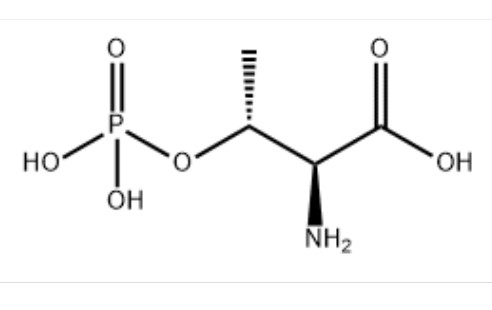 L-2-氨基-3-羥基丁酸-3-磷酸酯,O-PHOSPHO-L-THREONINE