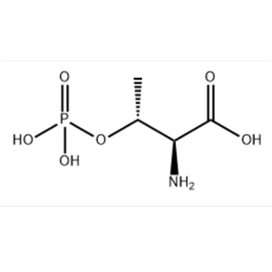 L-2-氨基-3-羥基丁酸-3-磷酸酯,O-PHOSPHO-L-THREONINE