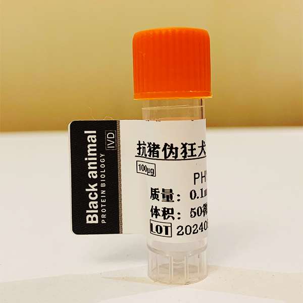 豬偽狂犬病毒陽性血清；豬偽狂犬病毒gE陽性血清,Pseudorabies virus PRV