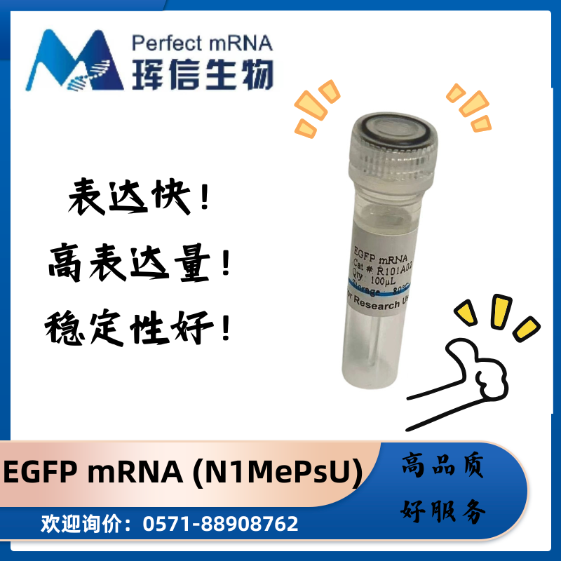 eGFP mRNA (N1-Me-pUTP),eGFP mRNA (N1-Me-pUTP)