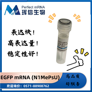 eGFP mRNA (N1-Me-pUTP),eGFP mRNA (N1-Me-pUTP)