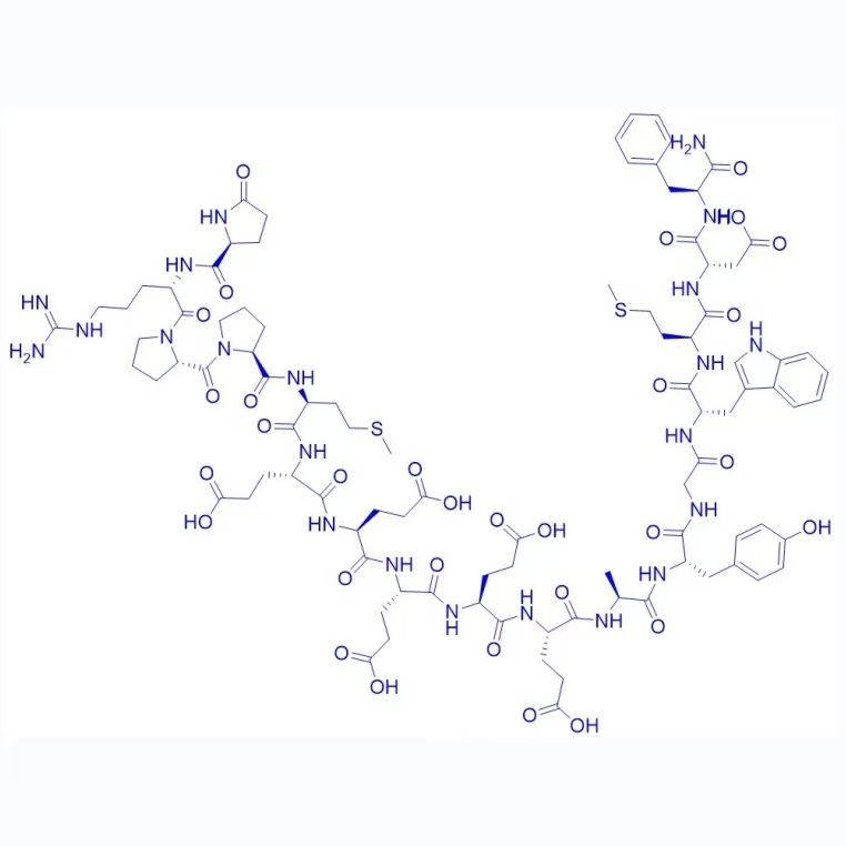 胃泌素-1，鼠源,Gastrin-1, rat