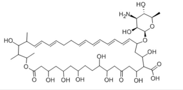 制霉菌素,Nystatin