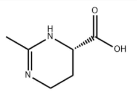 依克多因,Ectoine