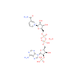 煙酰胺腺嘌呤雙核苷酸磷酸鹽,Triphosphopyridine nucleotide