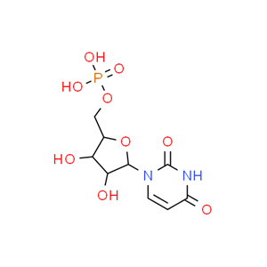 尿苷5-單磷酸,UMP