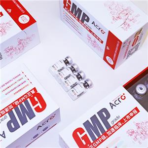 GMP PDGF-BB蛋白,GMP PDGF-BB Protein